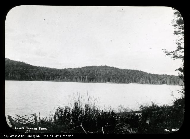 Lower Turner Pond